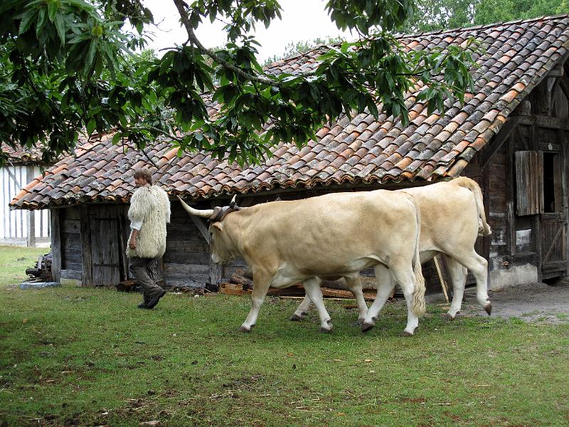 Aquitanien (546).JPG